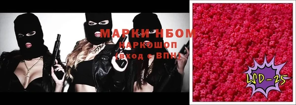 прущие грибы Аркадак