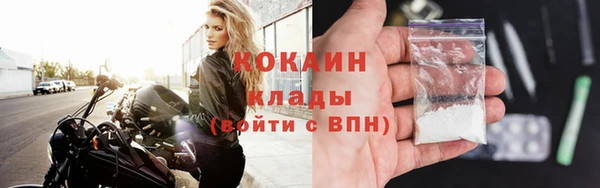 прущие грибы Аркадак
