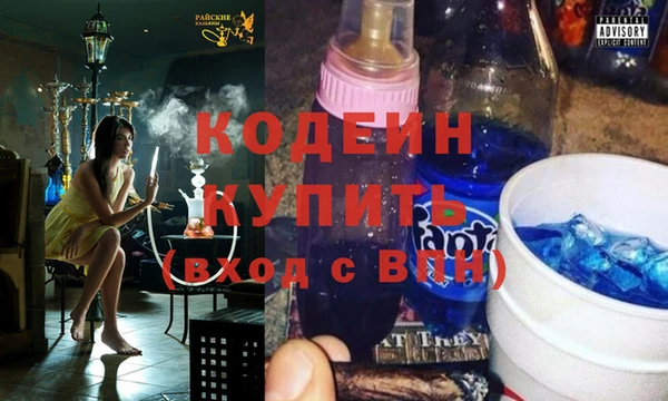 прущие грибы Аркадак