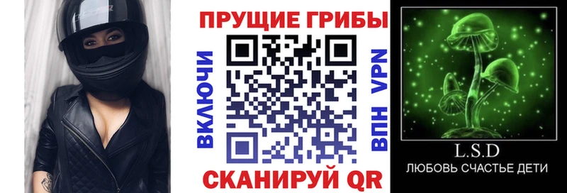 Купить где  Рудня  Галлюциногенные грибы ЛСД 